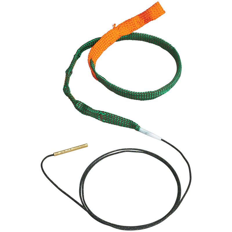 Hoppe's Rifle Boresnake with Den